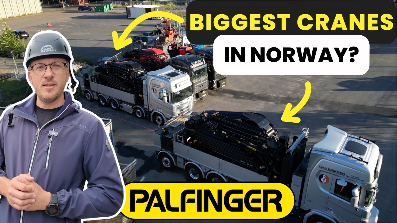 trane store fugler i norge